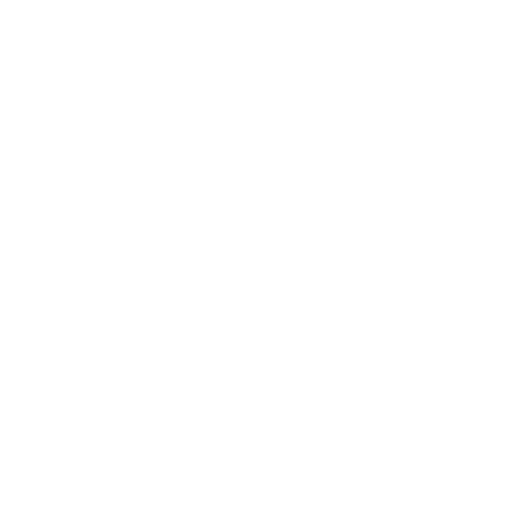 bus white 1
